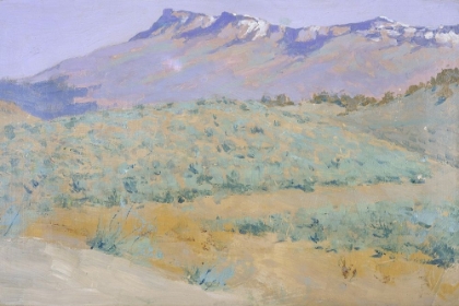 Picture of BLUE PRARIE