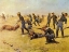 Picture of THE SKIRMISH LINE