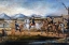 Picture of THE WHISKEY REBELLION