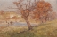 Picture of LANDSCAPE