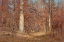 Picture of LANDSCAPE