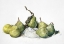 Picture of GREEN PEARS
