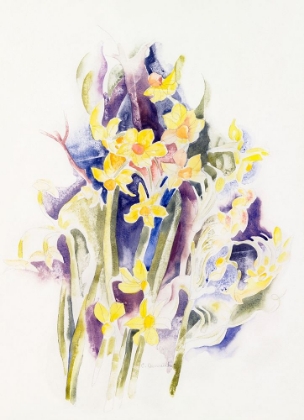 Picture of SMALL DAFFODILS