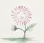 Picture of SUNFLOWER