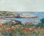 Picture of POPPIES-ISLES OF SHOALS