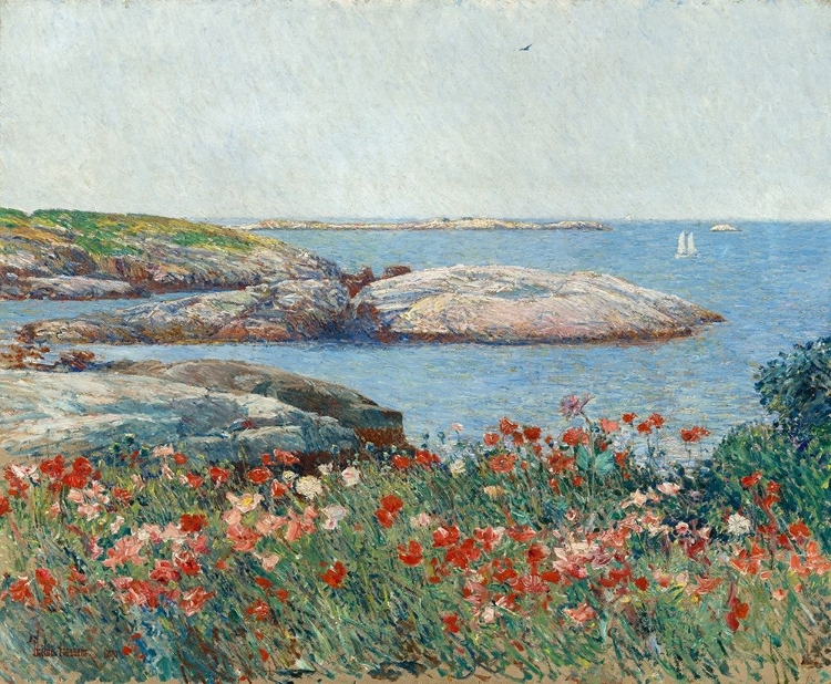 Picture of POPPIES-ISLES OF SHOALS