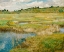 Picture of THE CONCORD MEADOW