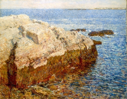 Picture of CLIFF ROCK APPLEDORE