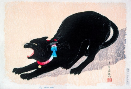 Picture of BLACK CAT HISSING