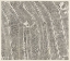 Picture of MAP OF AMSTERDAM