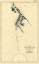 Picture of ROUTE AND SURVEYS OF THE SOUTHERN JOURNEY PARTY-1909