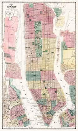 Picture of MAP OF NEW YORK AND VICINITY 1869