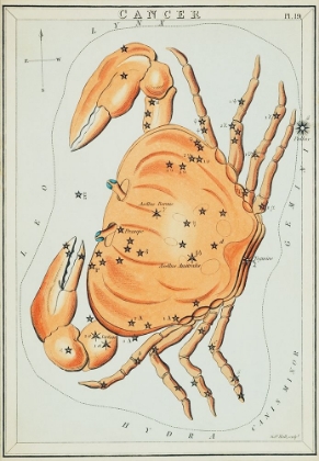 Picture of ASTRONOMICAL CHART ILLUSTRATION OF THE CANCER ZODIAC