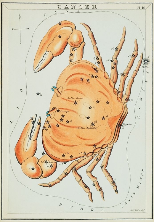 Picture of ASTRONOMICAL CHART ILLUSTRATION OF THE CANCER ZODIAC