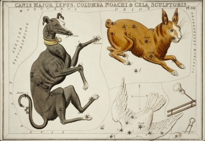 Picture of ASTRONOMICAL CHART ILLUSTRATION OF THE CANIS MAJOR-LEPUS-COLUMBA NOACHI AND THE CELA SCULPTORIS