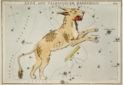 Picture of ASTRONOMICAL CHART ILLUSTRATION OF LYNX AND THE TELESCOPIUM HERSCHILII