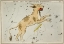 Picture of ASTRONOMICAL CHART ILLUSTRATION OF LYNX AND THE TELESCOPIUM HERSCHILII