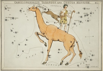 Picture of ASTRONOMICAL CHART ILLUSTRATION OF THE CAMELOPARDALIS-TARANDUS AND THE CUSTOS MESSIUM