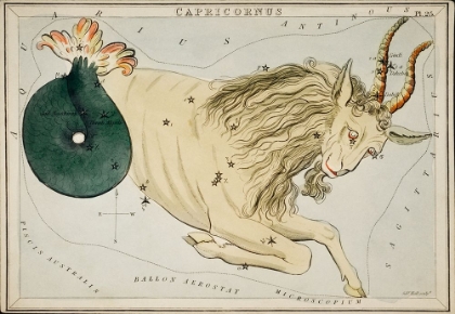 Picture of ASTRONOMICAL CHART ILLUSTRATION OF THE ZODIAC CAPRICORNUS