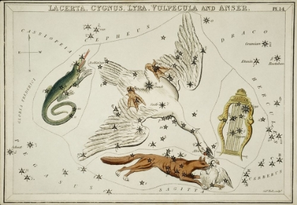 Picture of ASTRONOMICAL CHART ILLUSTRATION OF THE LACERTA-CYGNUS-LYRA-VULPECULA AND THE ANSER
