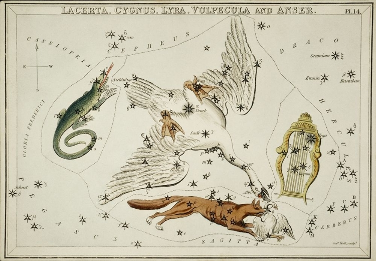 Picture of ASTRONOMICAL CHART ILLUSTRATION OF THE LACERTA-CYGNUS-LYRA-VULPECULA AND THE ANSER