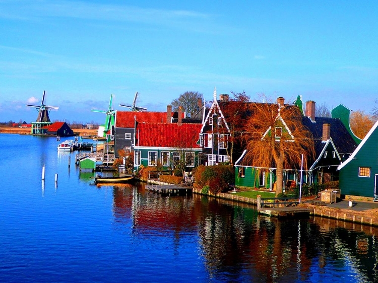 Picture of AMSTERDAM COUNTRYSIDE