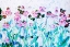 Picture of BLOOMING