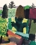 Picture of PARK