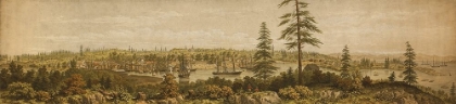 Picture of VIEW OF VICTORIA VANCOUVER ISLAND 1860