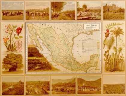 Picture of AGRICULTURAL MAP OF MEXICO