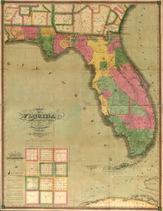 Picture of FLORIDA