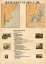 Picture of SETTLEMENT OF NEW YORK