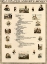 Picture of ORGANIZATION AND DEVELOPMENT OF THE UNITED STATES