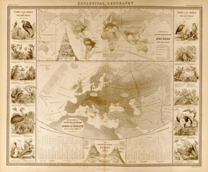 Picture of ZOOLOGICAL GEOGRAPHY BIRDS OF THE WORLD