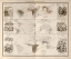 Picture of ZOOLOGICAL GEOGRAPHY BIRDS OF THE WORLD PRIMATES PACHYDRMS MARSUPIALS