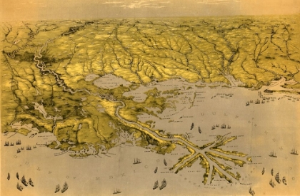 Picture of BIRDS EYE VIEW OF LOUISIANA MISSISSIPPI ALABAMA AND PART OF FLORIDA 1861