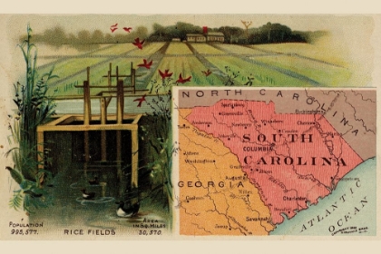Picture of SOUTH CAROLINA
