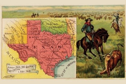 Picture of TEXAS