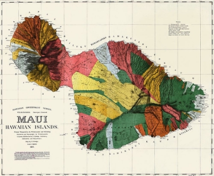 Picture of MAUI HAWAIIAN ISLANDS