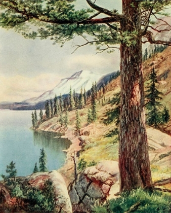 Picture of ON THE SHORE OF LAKE TAHOE FROM ON SUNSET HIGHWAYS 1921