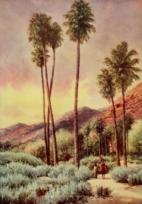 Picture of PALM CANYON-CALIFORNIA FROM ON SUNSET HIGHWAYS 1921