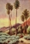 Picture of PALM CANYON-CALIFORNIA FROM ON SUNSET HIGHWAYS 1921