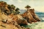 Picture of CYPRESS POINT NEAR CARMEL-CALIFORNIA 1914