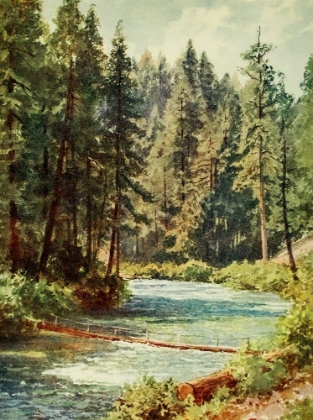 Picture of MCCLOUD RIVER-SACRAMENTO VALLEY-CALIFORNIA 1914