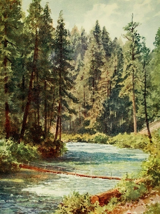 Picture of MCCLOUD RIVER-SACRAMENTO VALLEY-CALIFORNIA 1914