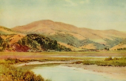 Picture of MILL VALLEY AND BACKWATER OF SAN FRANCISCO BAY-CALIFORNIA 1914