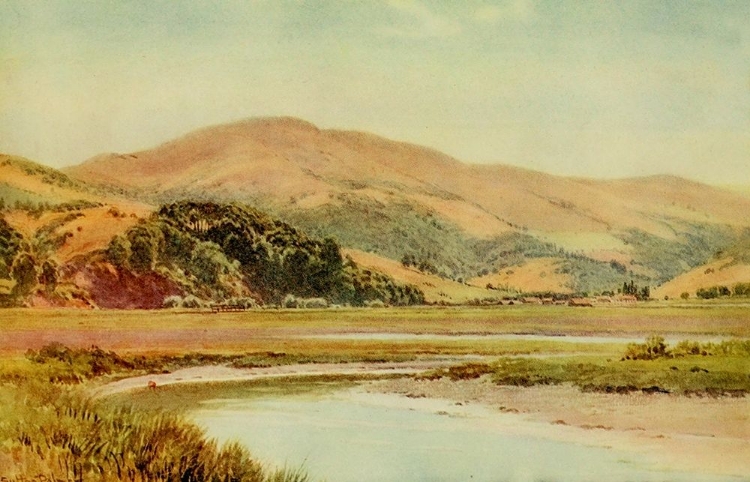 Picture of MILL VALLEY AND BACKWATER OF SAN FRANCISCO BAY-CALIFORNIA 1914