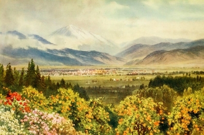 Picture of REDLANDS-LOOKING TOWARDS SAN BERNARDINO RANGE-CALIFORNIA 1914