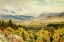 Picture of REDLANDS-LOOKING TOWARDS SAN BERNARDINO RANGE-CALIFORNIA 1914