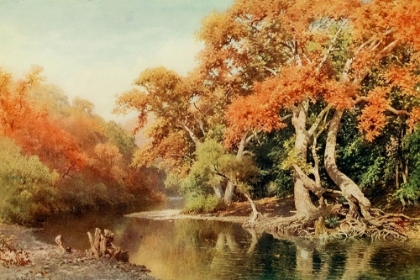 Picture of SYCAMORES-A COAST RANGE CANYON-CALIFORNIA 1914